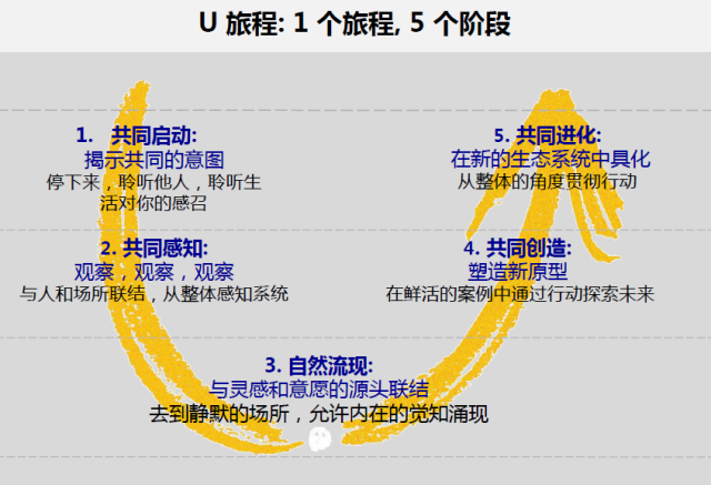 《U型理论》－6