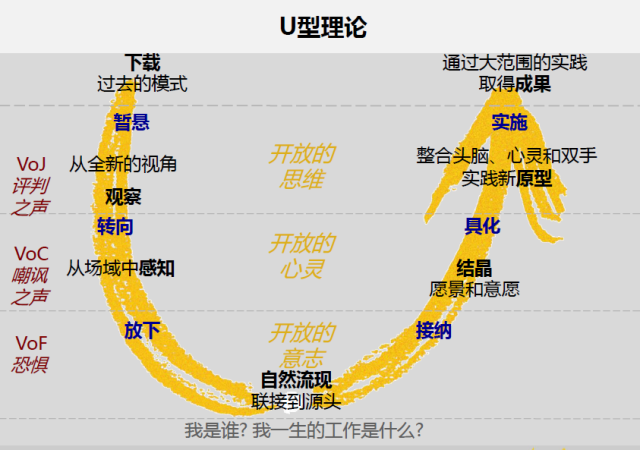 《U型理论》－5